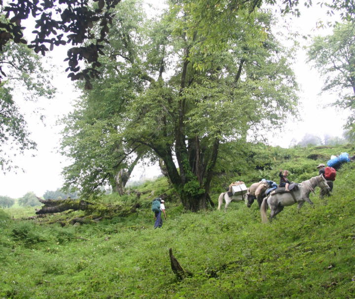 malana trek