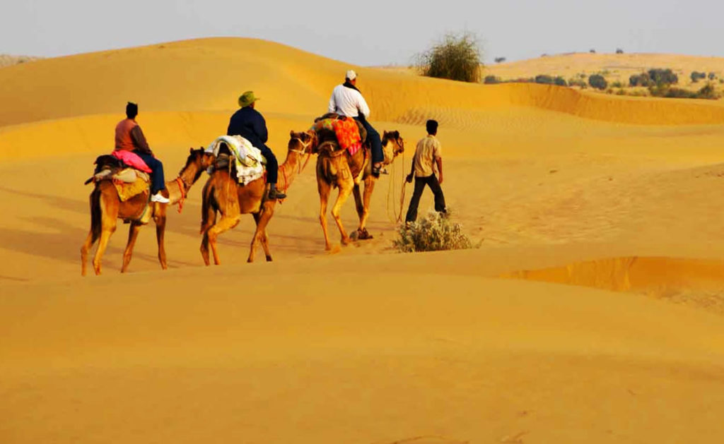 Camel Safari Tour at Rajasthan – Earth Himalayan Holidays