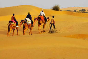 camel-safari-tour-at-rajasthan