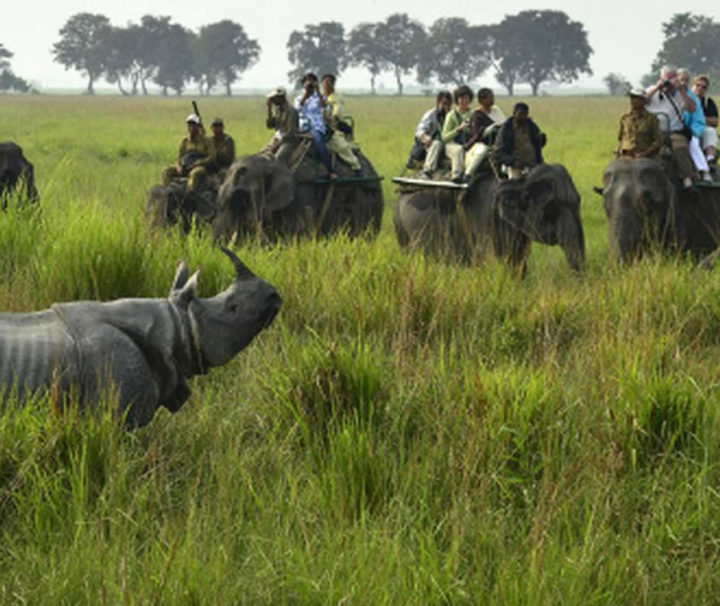 east-india-wildlife-tour