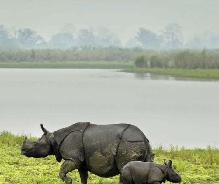 northeast-angling-and-rhino-tour