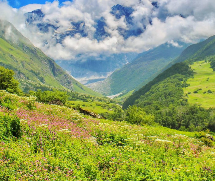 valley-of-flowers-with-hemkund-trek