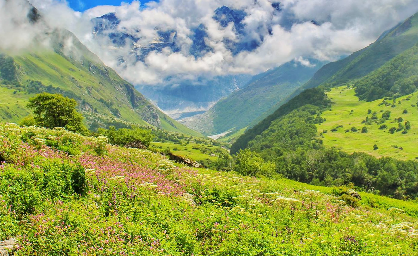 Valley Of Flowers With Hemkund Trek – Earth Himalayan Holidays