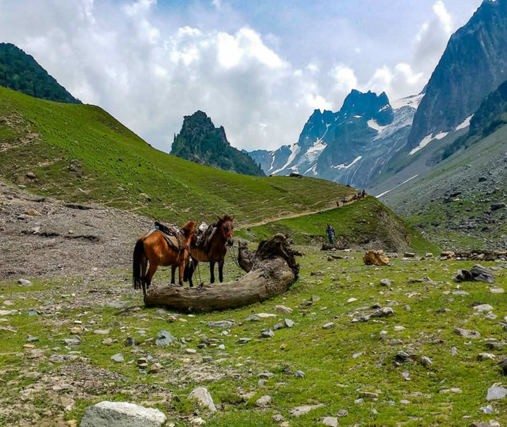 kashmir-with-ladakh-photography-tour