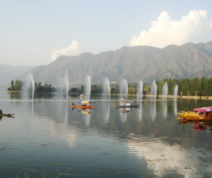 kashmir-with-real-wildlife